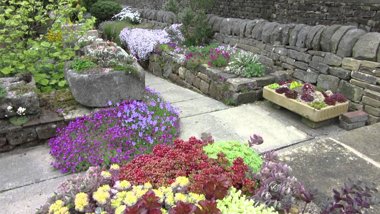Alpine garden