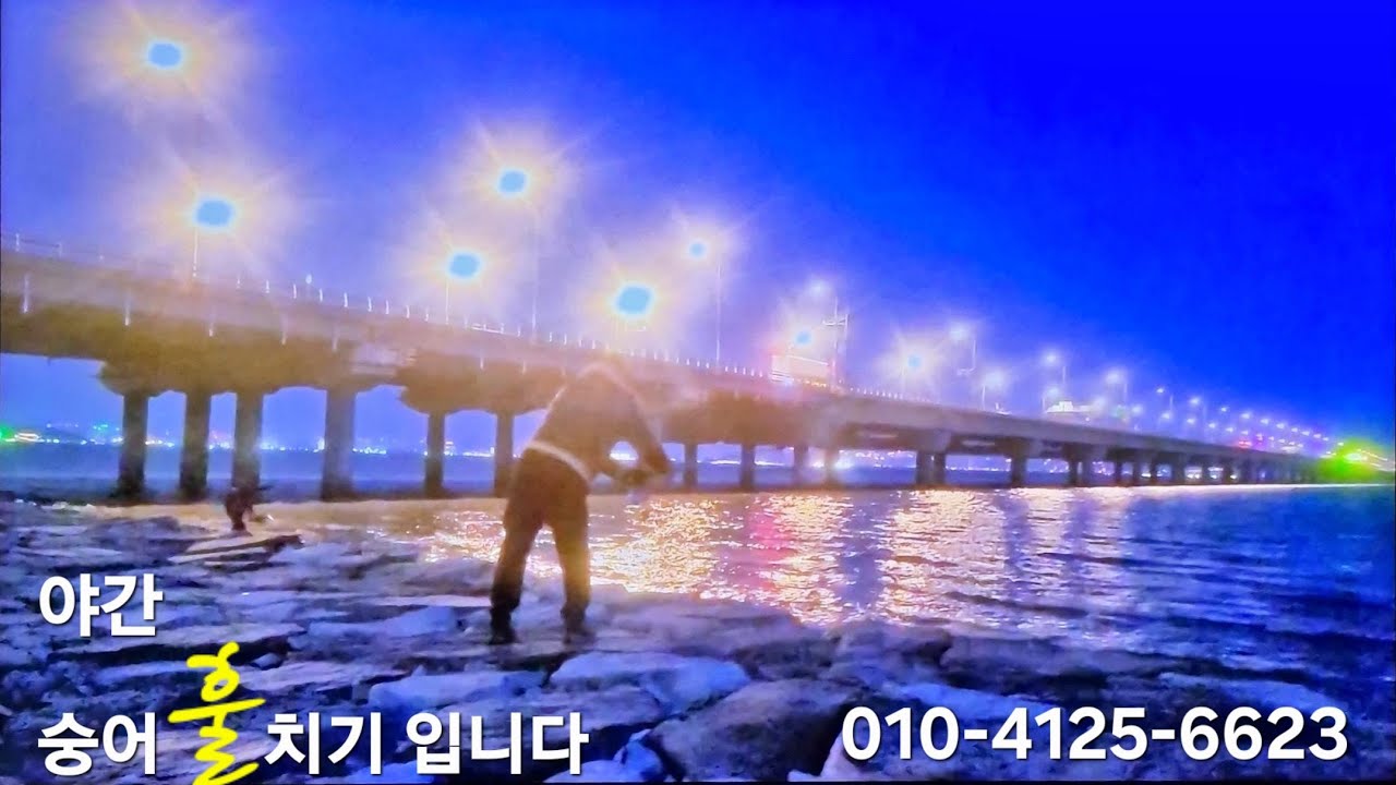 #영종도숭어훌치기 3/8 11물#일몰물때조과무   #인천대교ㅡ염전구간 조사님 만석
