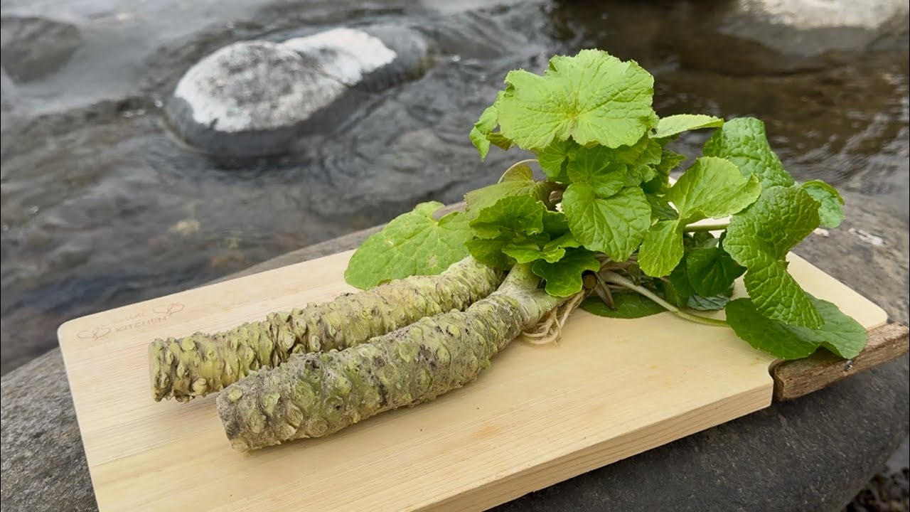 ワサビ田の下流なら【脱法ワサビ】を採れるのか？