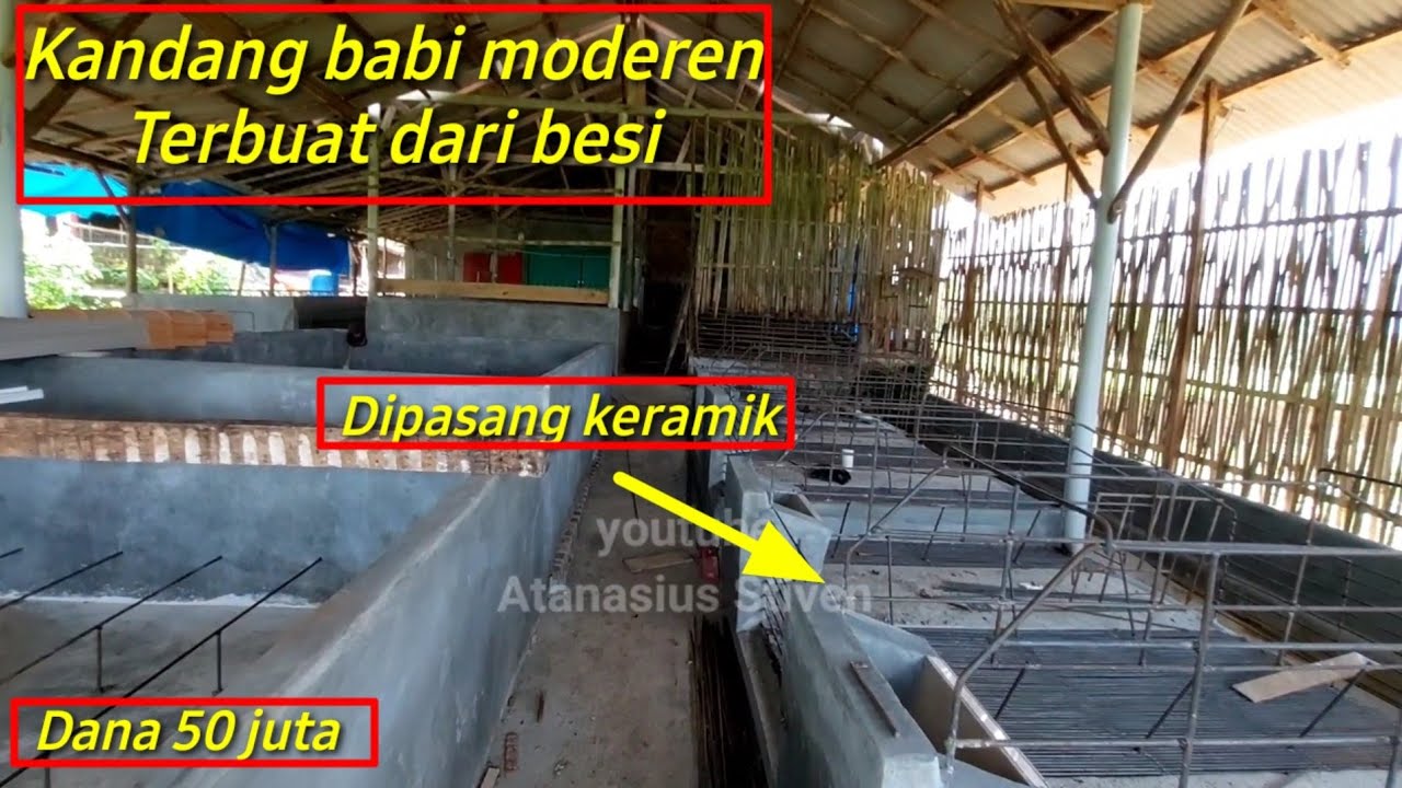 Kandang babi moderen terbuat dari besi