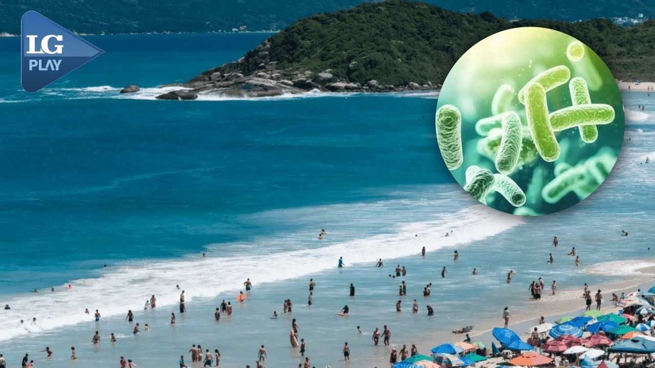 Alerta sanitaria en Florianópolis: más de un tercio de las playas no es apto para bañarse