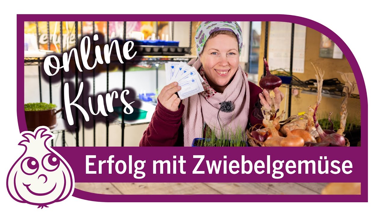 Zwiebeln anbauen – Gemüseanbau Online Kurs Teil 1