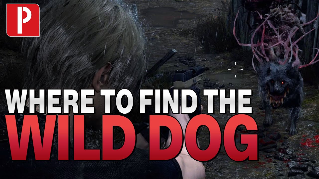 Where to Find the Wild Dog for 