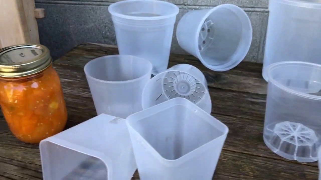 Plastic Orchid Pots