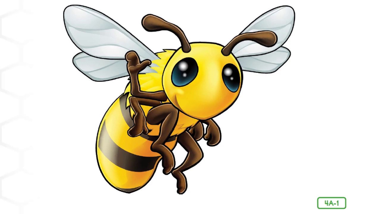 2D8L4 Social Insects Bees and Wasps