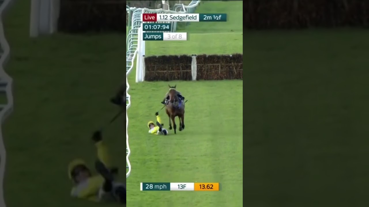 HILARIOUS commentary from Tommo as rider is unseated from horse 🤣