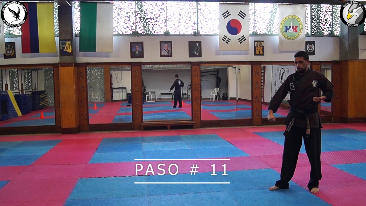 HAPKIDO MEDELLIN COLOMBIA Pumse # 3
