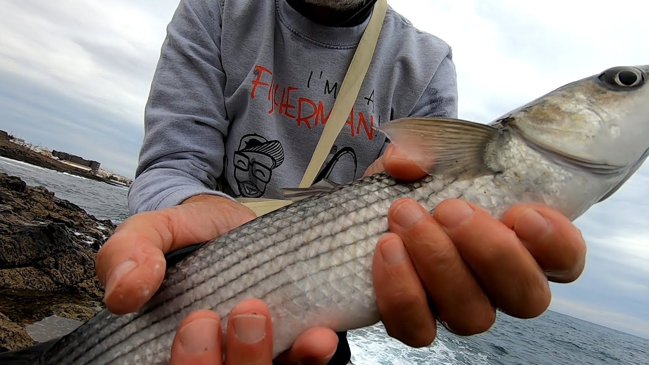 PESCA AL CEFALO: Montatura Galleggiante Piombato per Pescare in Mare