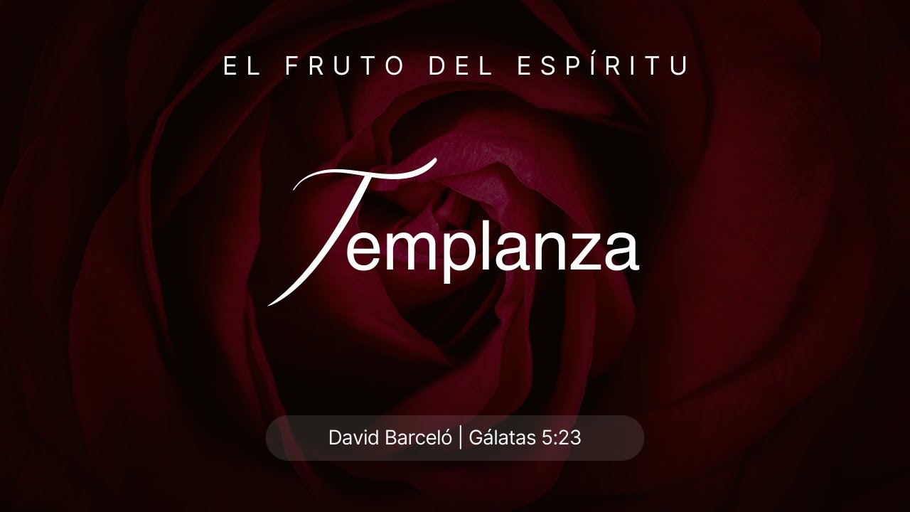 Templanza | David Barcel&oacute;