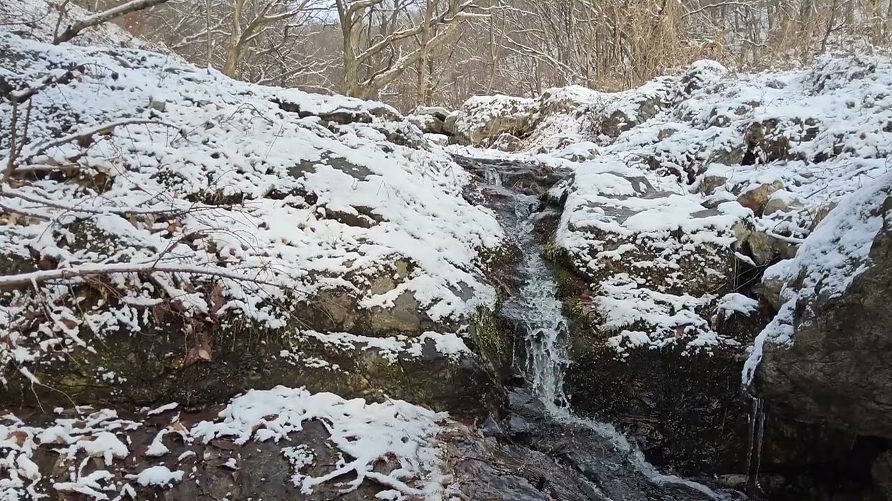 눈 내린 계곡에서 깊은 잠으로 │ 시냇물 ASMR 1시간 30분   Snowy Valley Stream Sounds │ Deep Sleep ASMR (1.5 Hours)