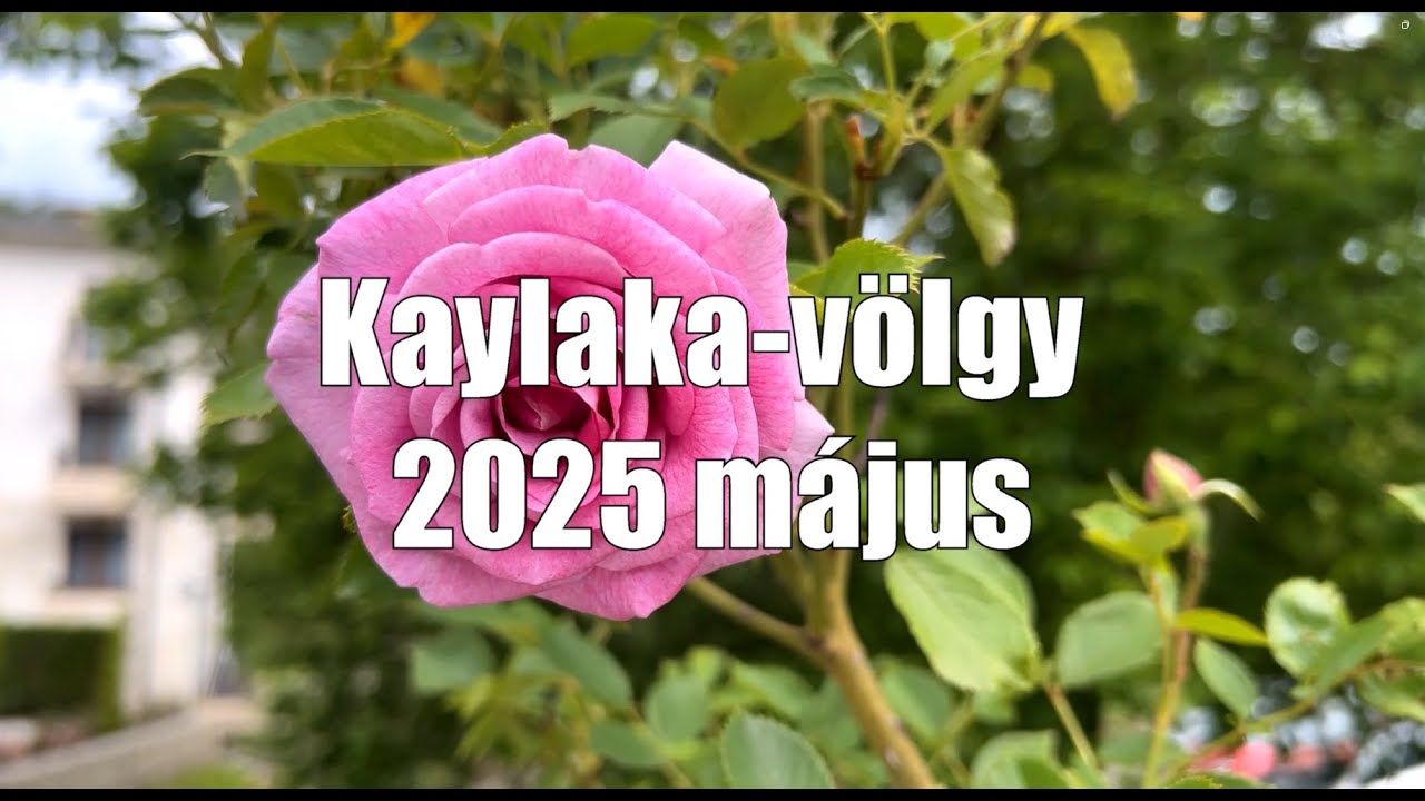 Kaylaka-v&ouml;lgy 2025 m&aacute;jus