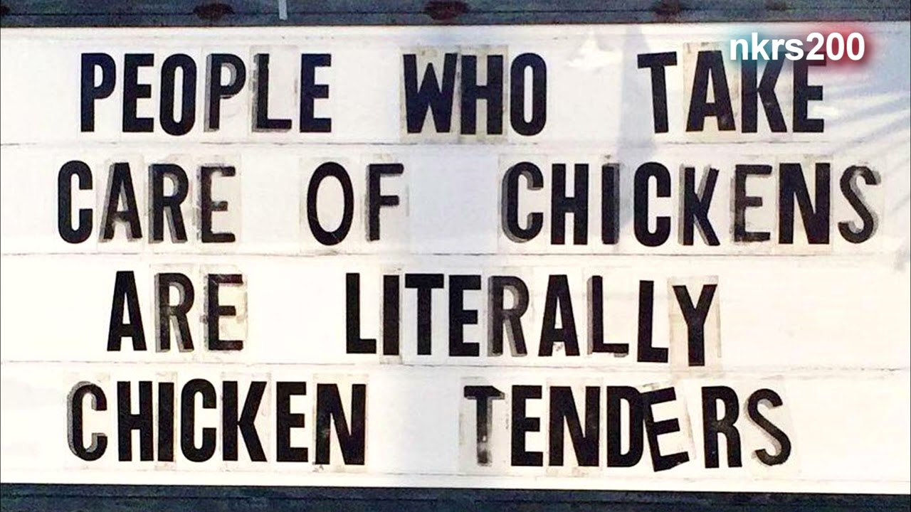 UNUSUAL CHICKEN TENDERS | Microsoft Sam reads Funny and Stupid Street Signs THE TWENTY-SEVENTH