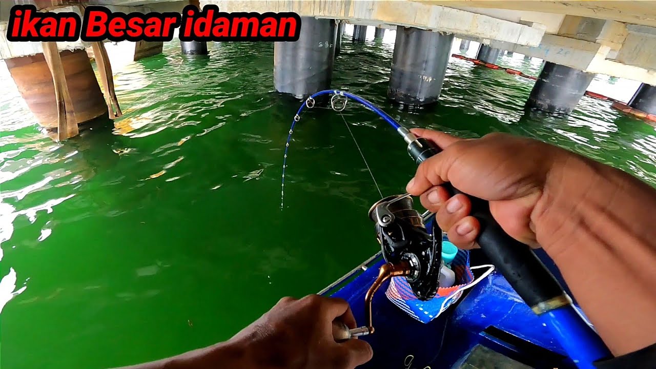 Pemancing Mana Yg Tidak Mau Dapat ikan Besar Seperti ini, ikan Besar idaman.