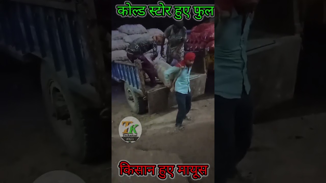 सब्जियों का राजा हुआ बर्बाद||cold store house full||कोल्ड स्टोर हुए फुल||किसान हुए दुखी||farmer sad.