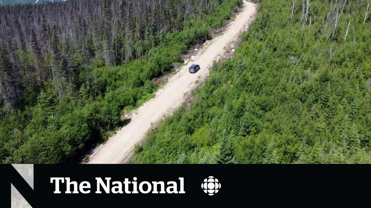 Canada's old logging roads: thousands of kilometres of danger