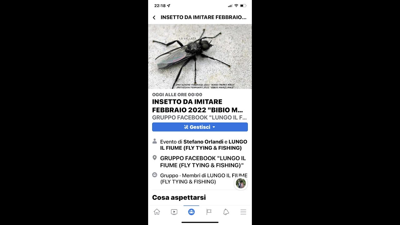 BIBIO MARCI MALE