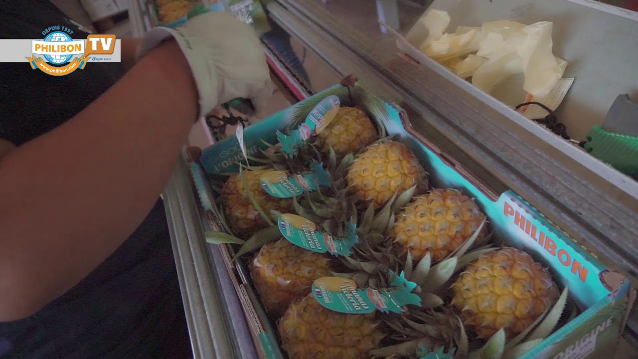 PHILIBON, émission 11 , conditionnement et expédition des fruits de l’ile de la réunion