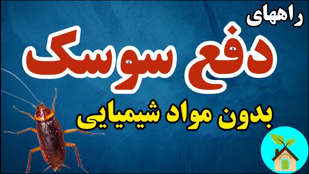 روشهای دفع سوسک بدون استفاده از حشره کش ها و مواد شیمیایی | سوسک ها را طبیعی دفع کن