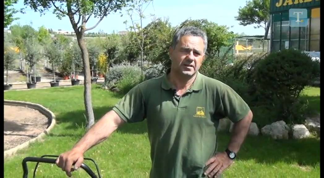 El jardín en tus manos - Escarificado del césped
