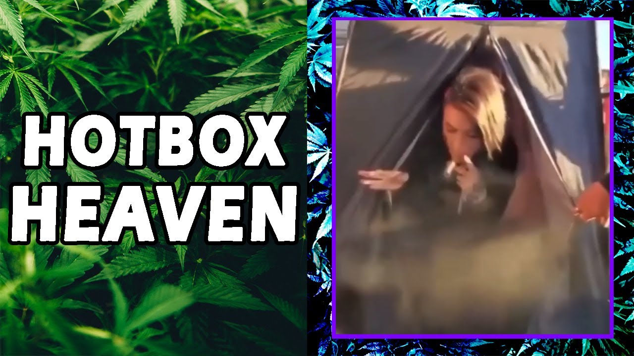 WEED MEMES & Fail Compilation [#110] - Fatally Stoned