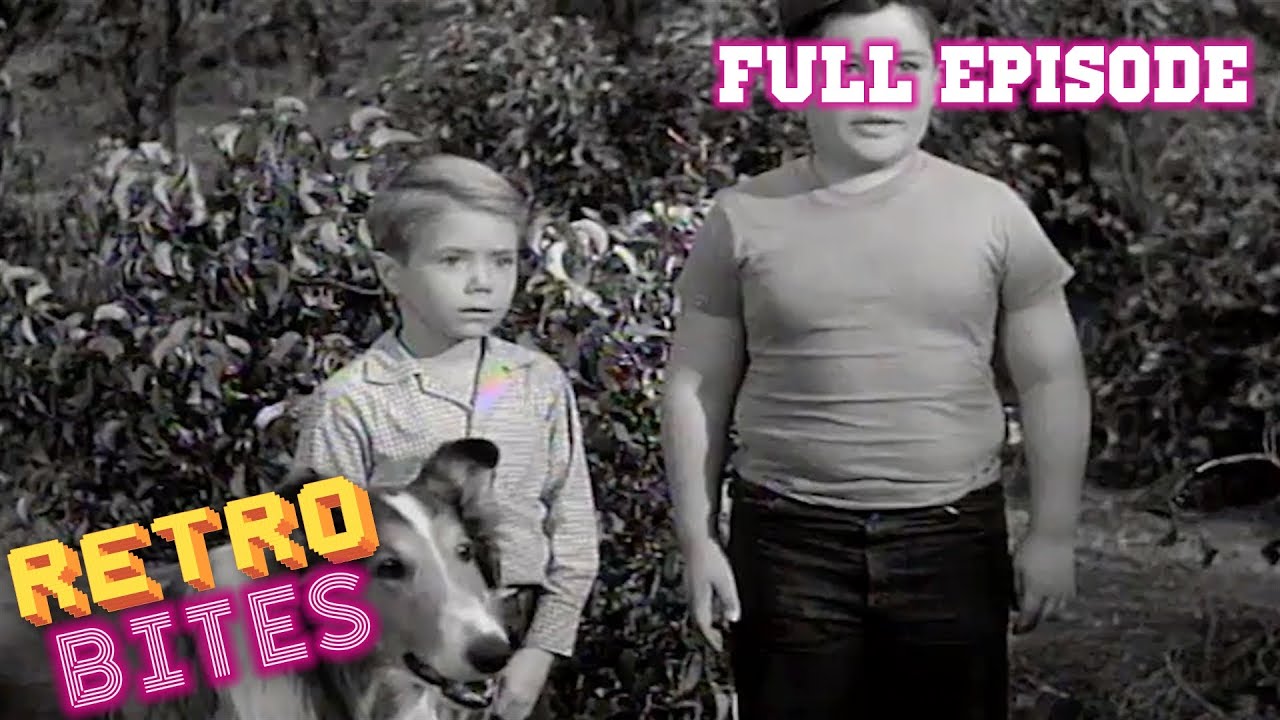 Lassie | Campout | Full Episodes  🐕
