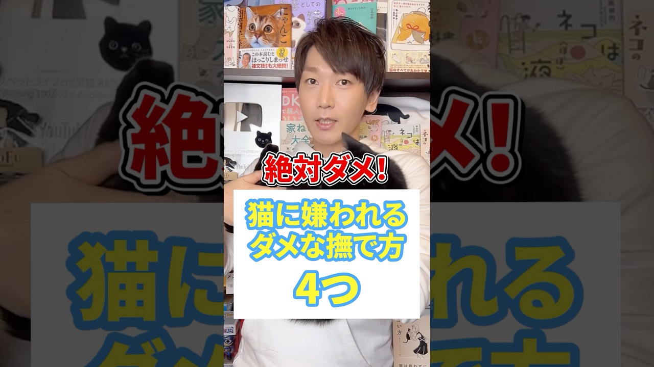 絶対ダメ！猫に嫌われるダメな撫で方４つ #猫 #ねこのいる生活 #ねこ