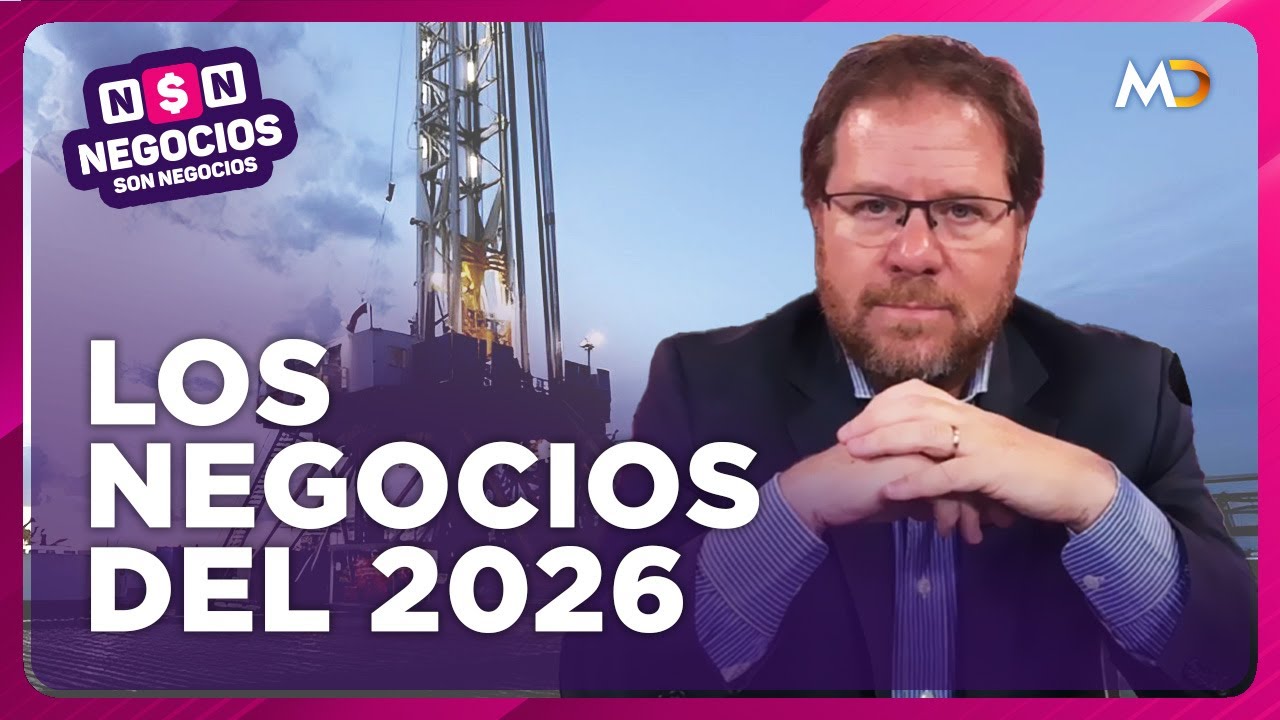 Argentina 2026: los NEGOCIOS que pueden MARCAR el PRÓXIMO AÑO