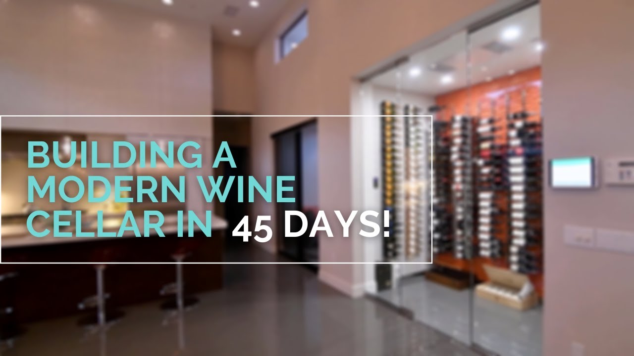 We Built This GORGEOUS Modern Wine Cellar with RGB Lighting in only 45 DAYS!
