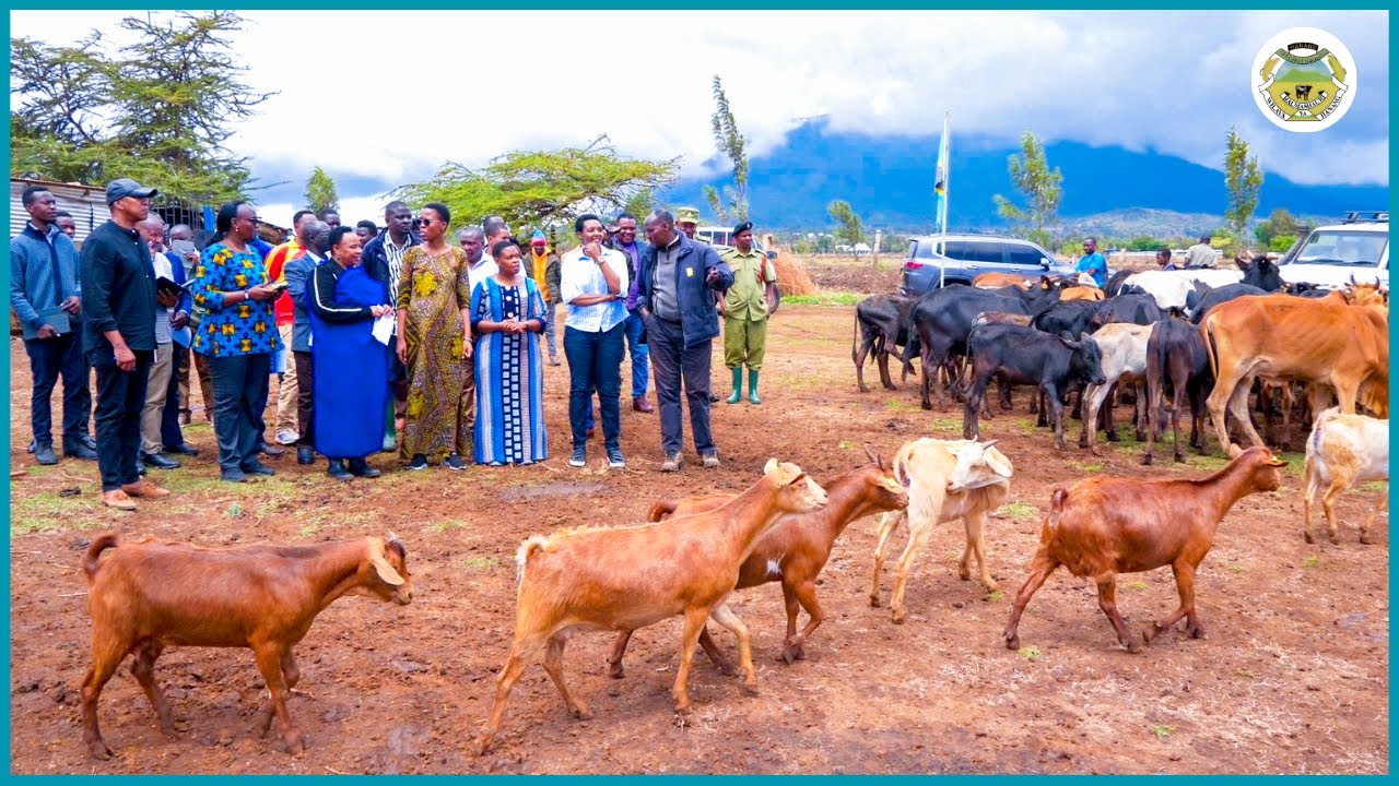 SERIKALI KUSAMBAZA MBEGU ZA MALISHO HANANG KUKABILIANA NA UHABA WA CHAKULA CHA MIFUGO