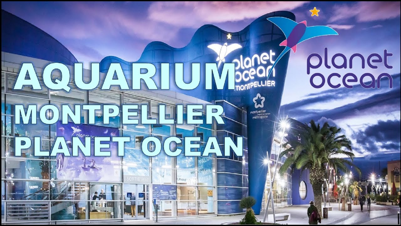 PLANET OCEAN MONTPELLIER Aquarium  - Visite complète Aquarius XVI