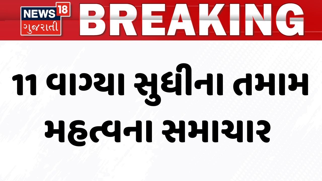 Gujarat Breaking News | 11 વાગ્યા સુધીના તમામ મહત્વના સમાચાર | Breaking News | News of The Day