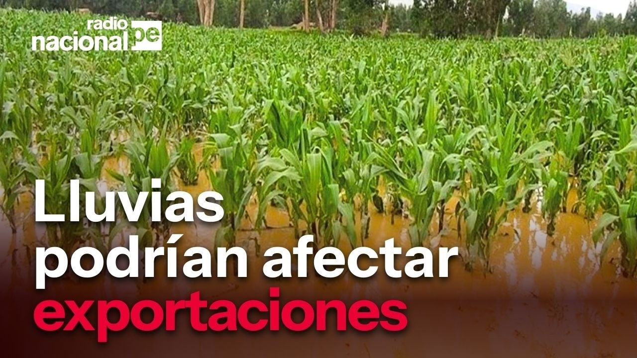 ADEX advierte impacto de El Niño costero en producción agrícola y empleo