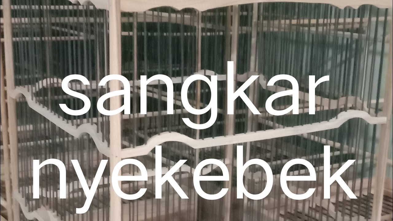 Sangkar nyekebek