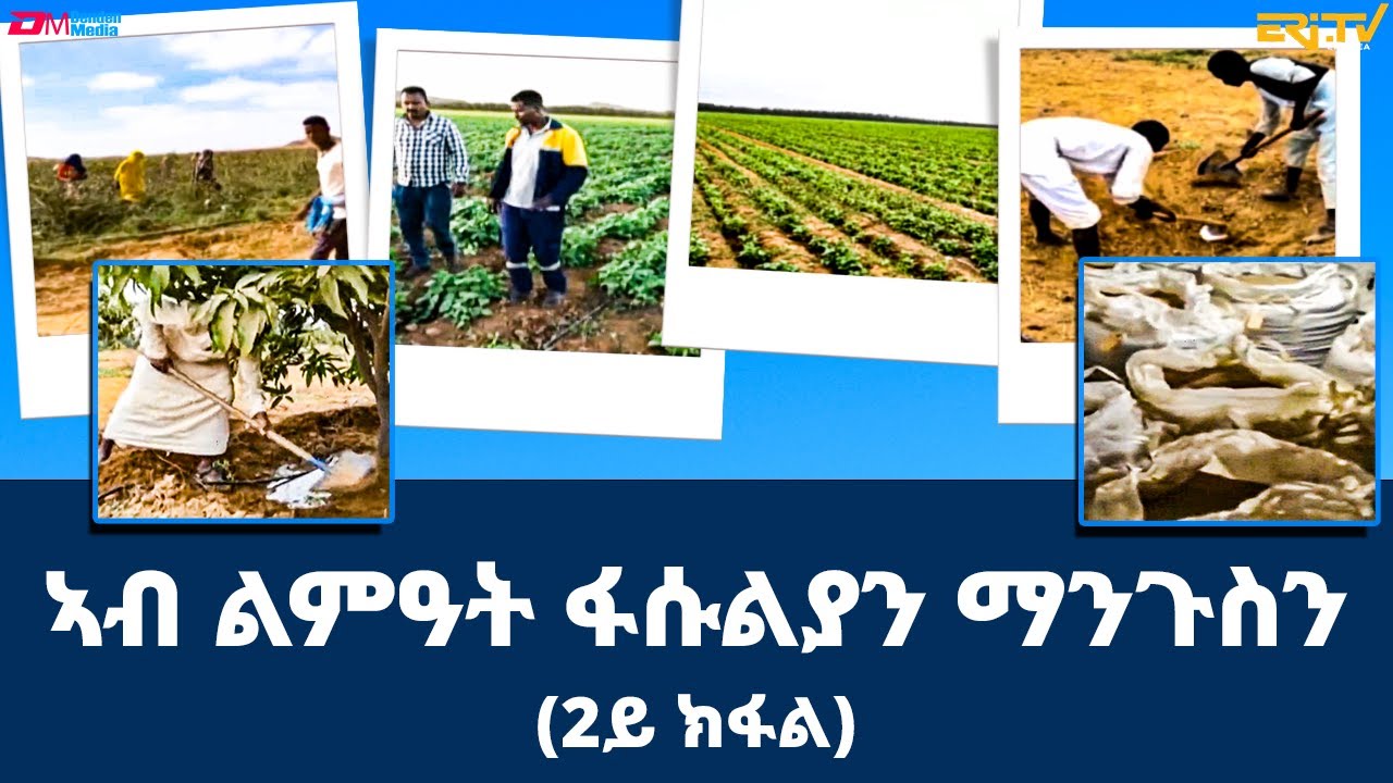 ከርከበት፡ ኣብ ልምዓት ፋሱልያን ማንጉስን (2ይ ክፋል) - መኣዝን ልምዓት - ERi=TV