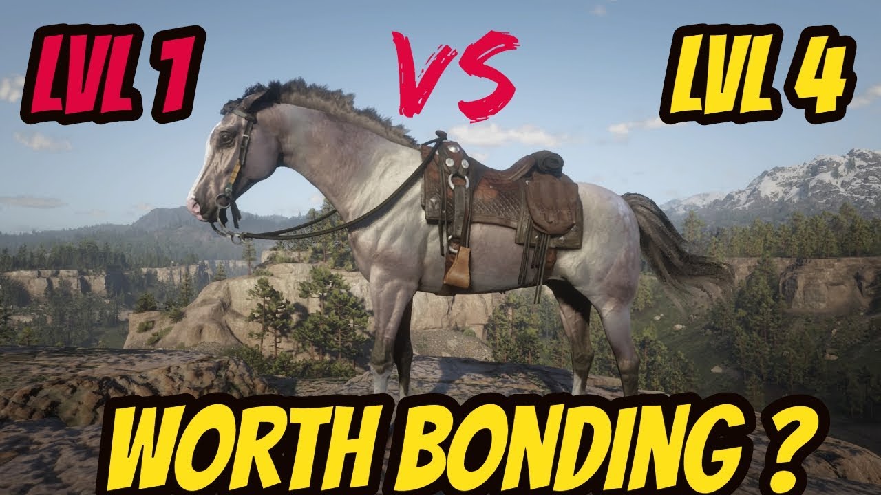 RDR 2 Arabian LVL 1 VS LVL 4 Worth Bonding ??
