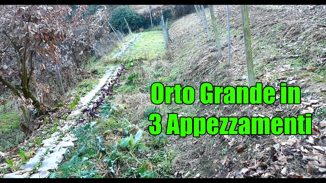 Trasformo Orto Grande in 3 Appezzamenti per Coltivare