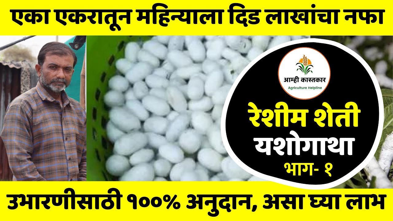 रेशीम शेती यशोगाथा । Reshim Udyog | Reshim Business | महिन्याला दिड लाख रुपये नफा Silk Farming