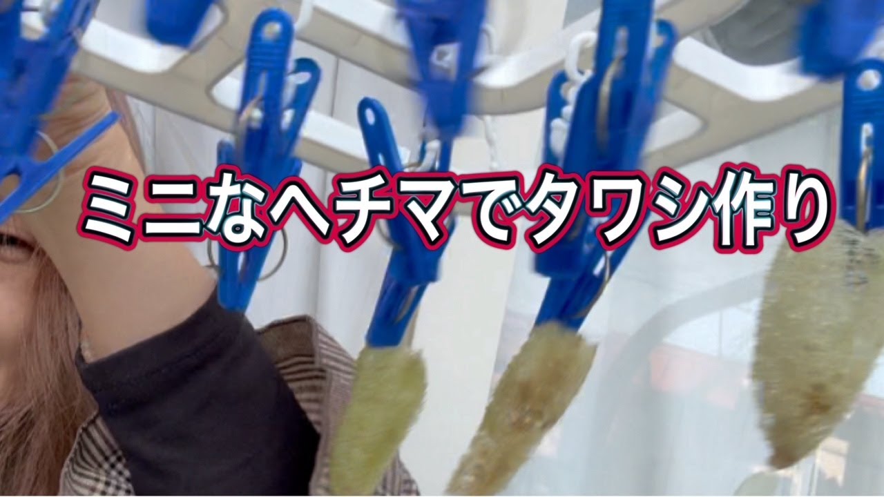 【ヘチマの種が…】ズボラな私の畑に行く時の鞄…忘れてほったらかされて一年以上…ヘチマタワシの作り方/カルディとバーガーキング/ベランダ産生姜と蜂蜜のお茶/60代からの暮らし