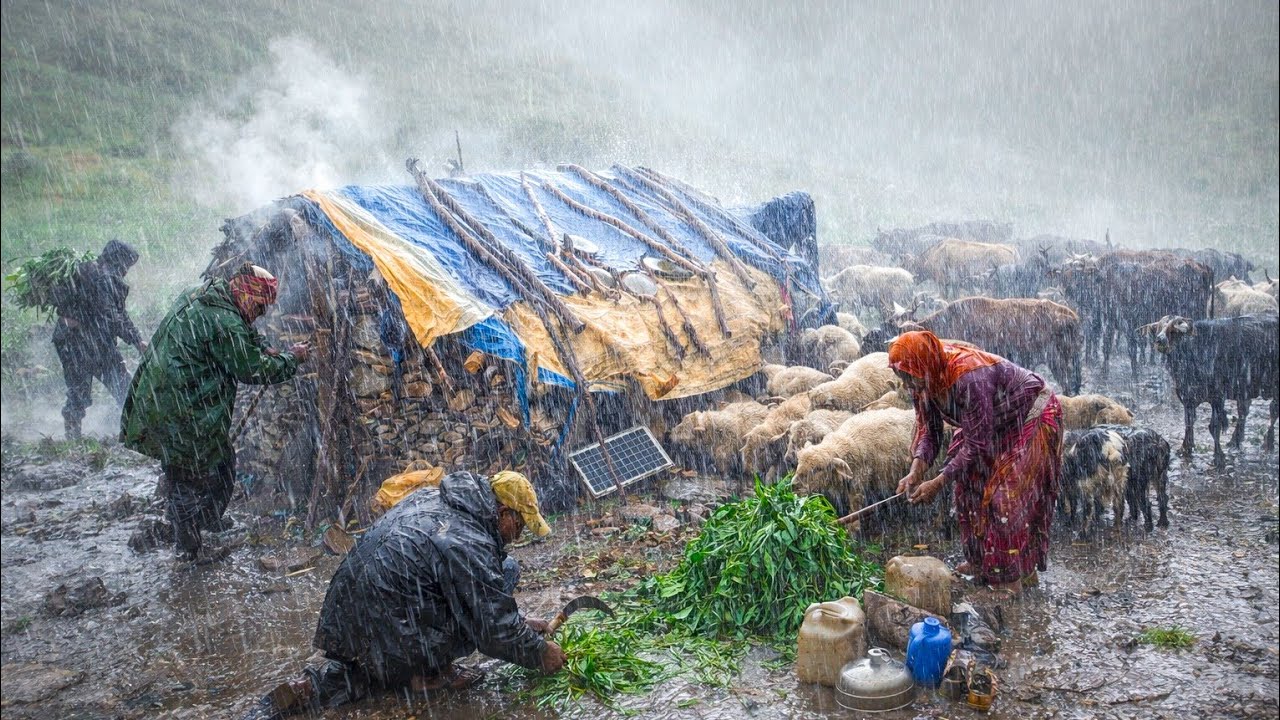 Life Inside a Shed During Extreme Rain Rural | Shepherd Daily Life in Monsoon | Village Life Nepal