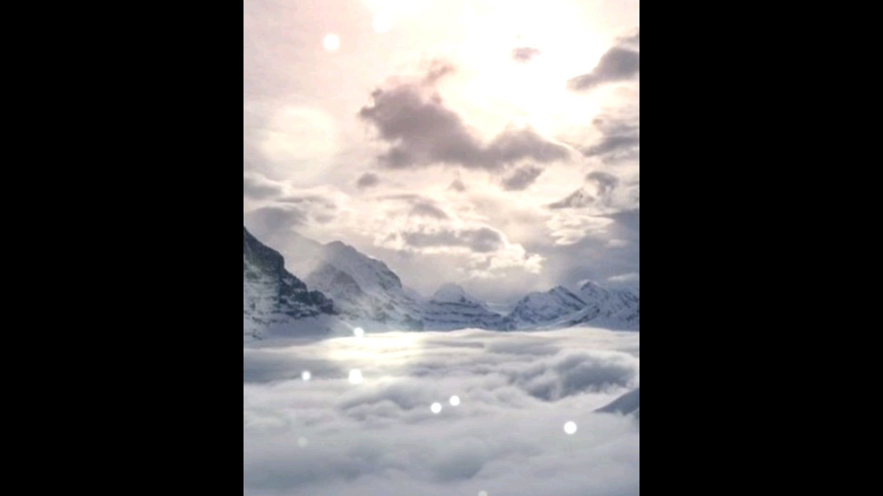질문3) 백궁의 삶? #shorts