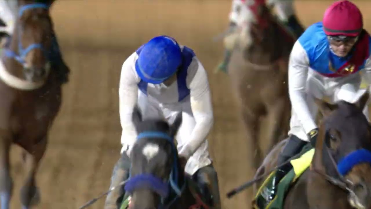 The Saudi Cup (Group 1) – Race 8 | The Saudi Cup 2022