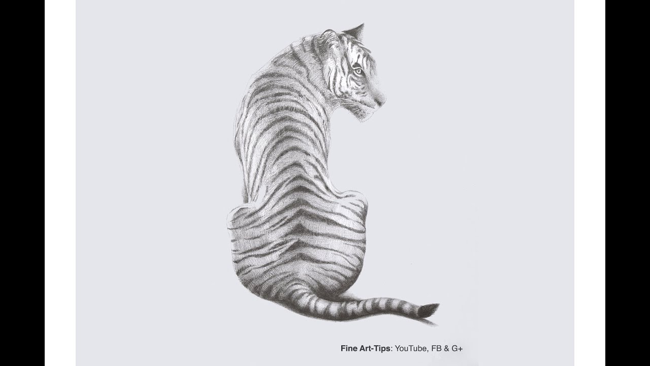 How to Draw a Tiger With Pencil