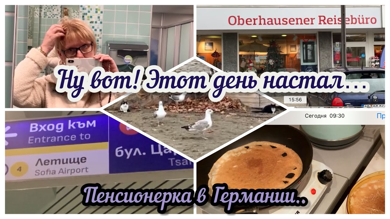 На пенсию в Болгарию/Длинный день/от кошек до Германии..