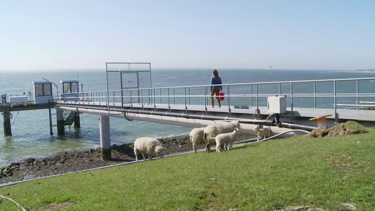 Energiewinning door gebruik te maken van het getij, Texel doet het! ⚡ - De Texelaar #2.5