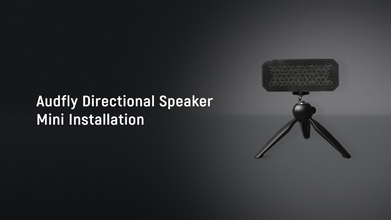 Audfly Directional Speaker Mini Installation