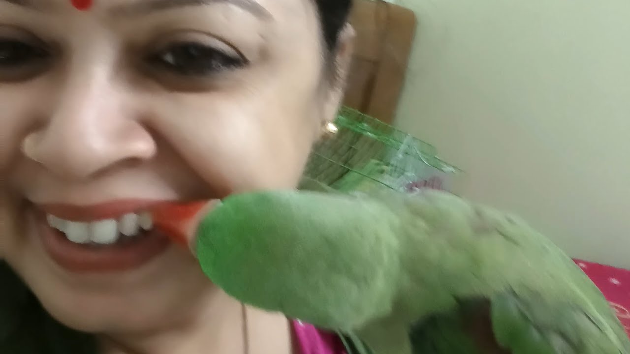 Thandi me nahana hai honey ko 