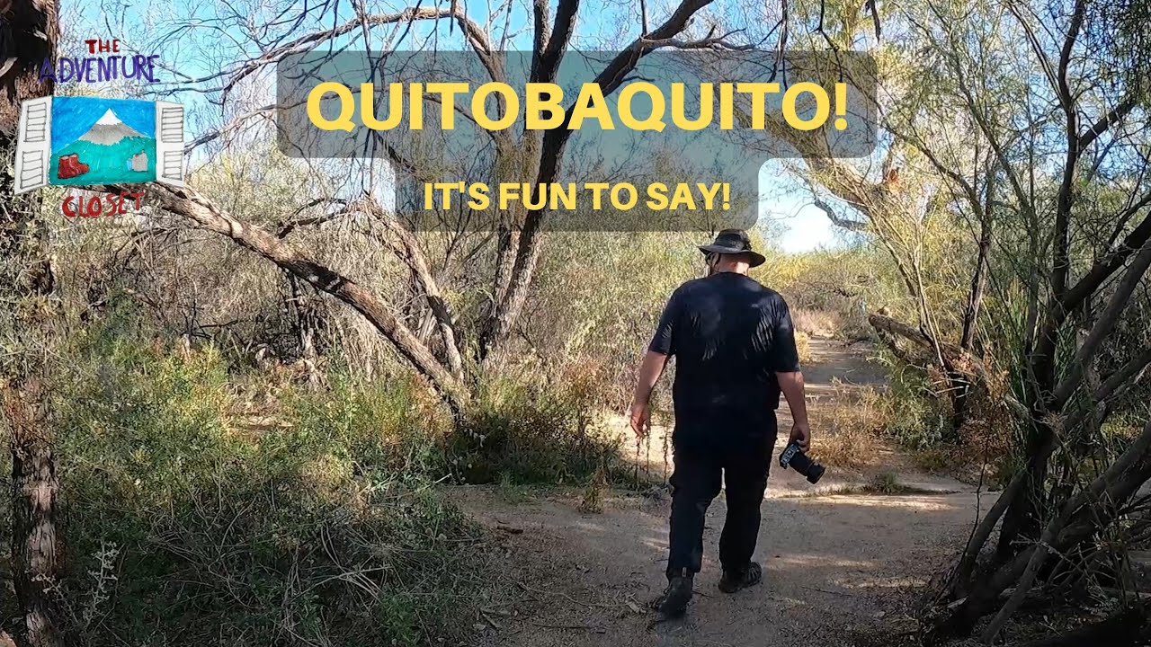 Rare fish sighting at Quitobaquito Springs | Organ Pipe Cactus National Monument | MInivan living