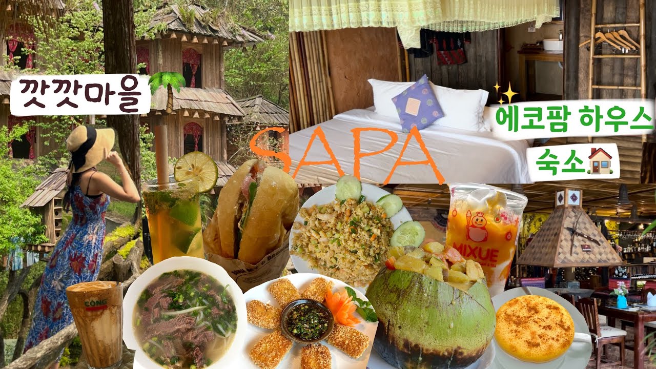 🇻🇳베트남 사파여행| 깟깟마을🛖솔직후기🧡|사파 유명맛집들 추천✨|에코팜 하우스 저녁,조식 식사 후기⭐️|반미 평점5.0 찐맛집,코코넛커리,에그커피,쌀국수,콩카페 |모녀여행 vlog