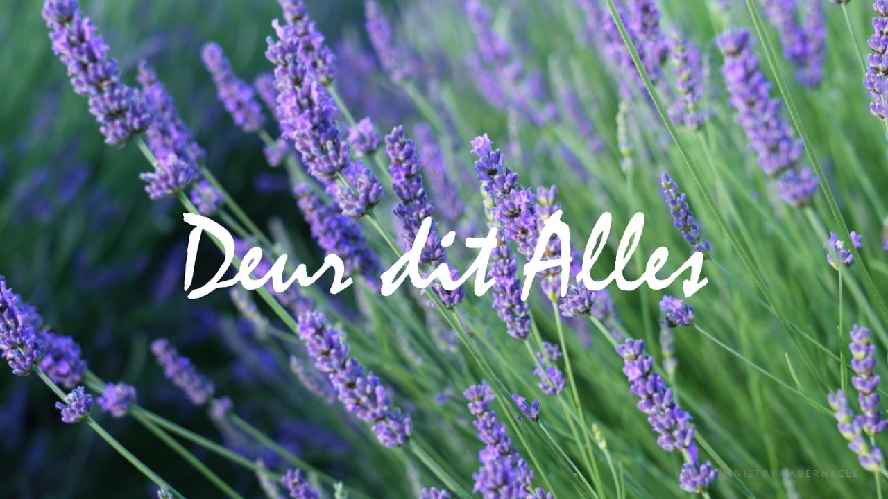 Несмотря ни на что