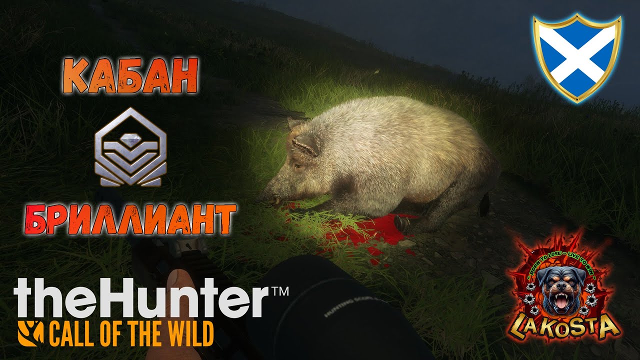 ⭐ БРИЛЛИАНТОВЫЙ КАБАН⭐ TheHunter Call of the Wild ⭐ ТОР НАН ШИАН  ⭐ ШОТЛАНДИЯ ⭐ diamond boar
